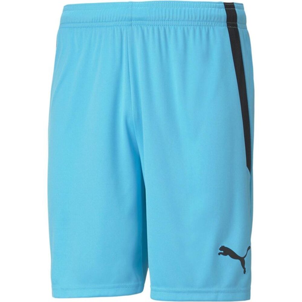 Puma Mens TeamLIGA Side Stripe Football Shorts / Blue/Black